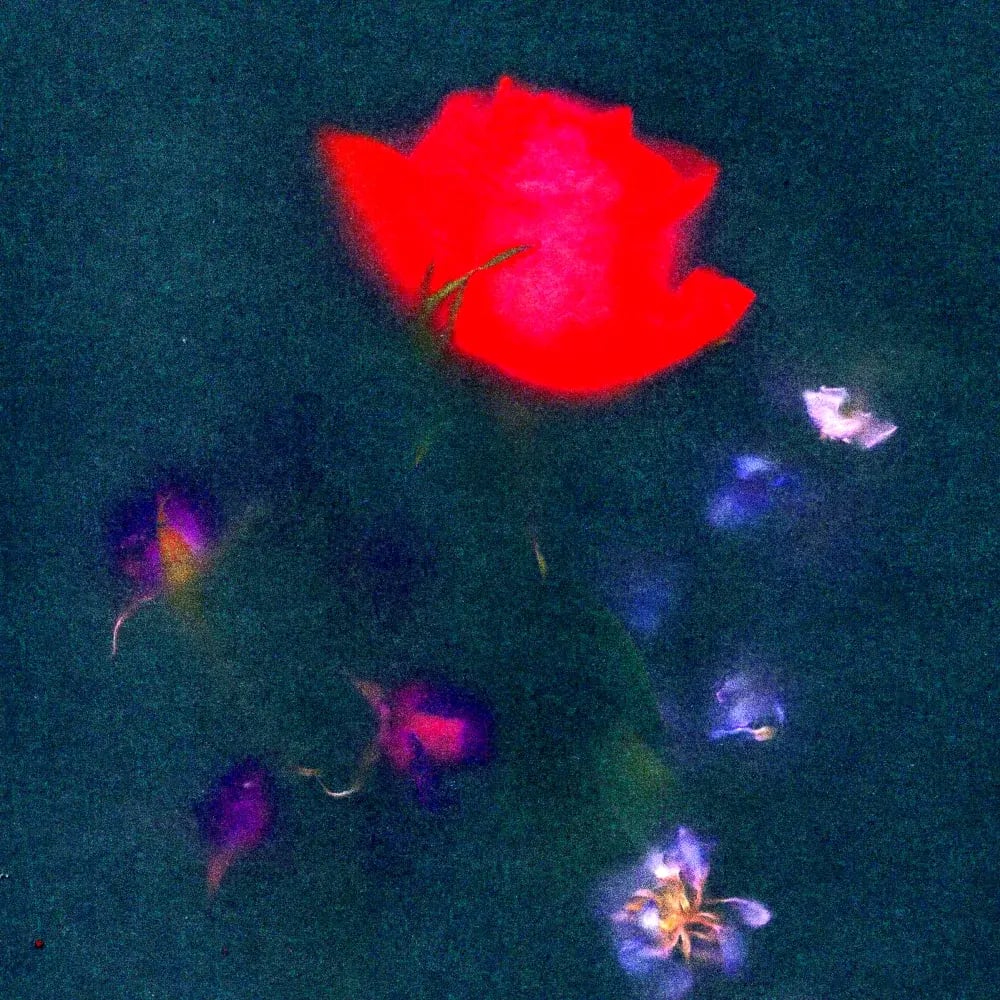 69bc2b552f00008400498124_dd0395a3b121a85f3f08c17e7f04ba9f